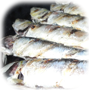 grilled sardines